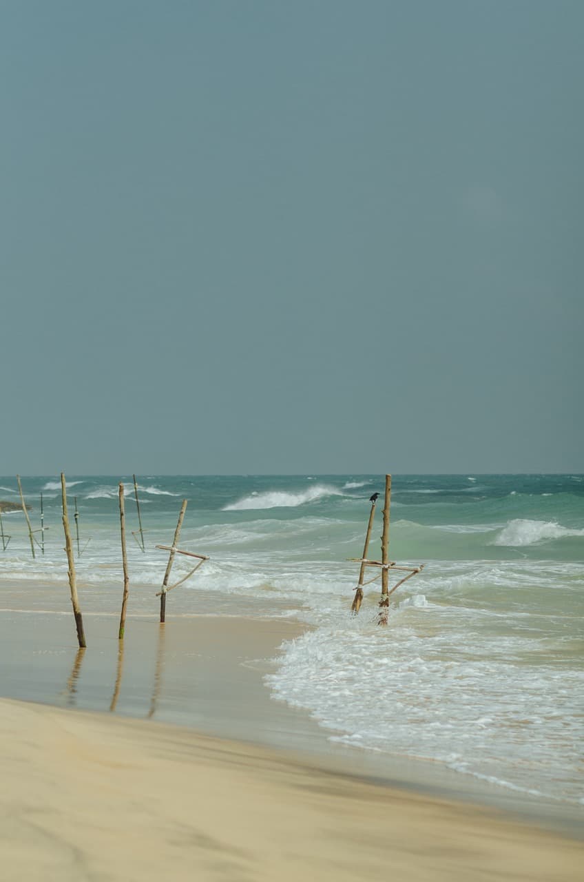 Превью Sri Lanka 2022